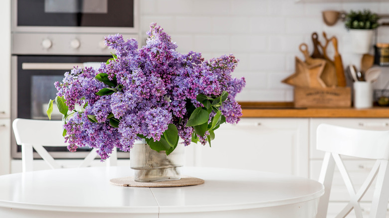 Fresh cut purple lilacs in a rotund glass vase on a white kitchen table.