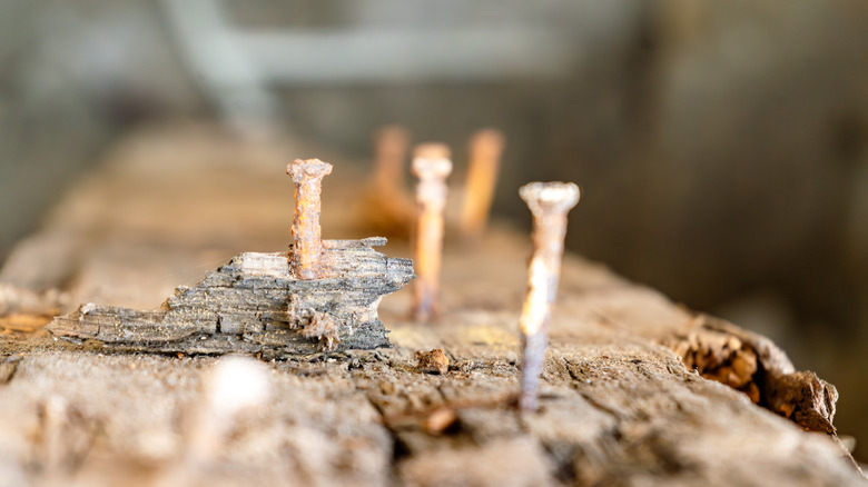 Rusty nails in a piece of wood