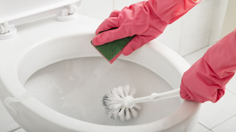 Person cleaning toilet bowl