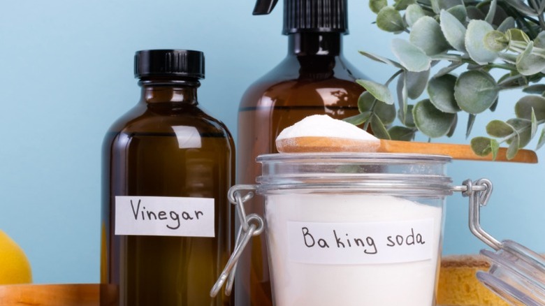Vinegar and baking soda in labeled containers on a counter with a spray bottle of water