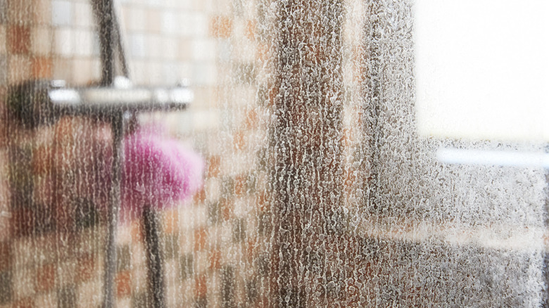 Dirty glass shower panels