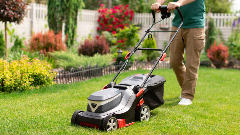 Person mowing a weed-free lawn with landscaping