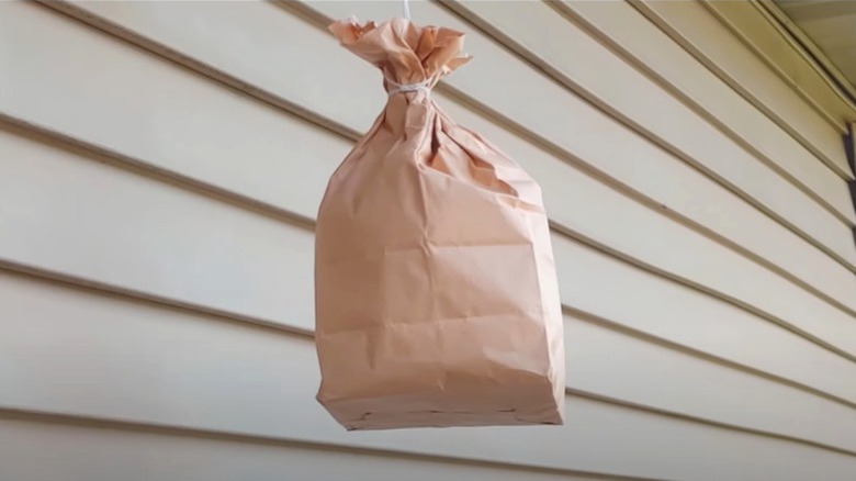 brown paper bag decoy wasp nest hanging in front of vinyl siding on house