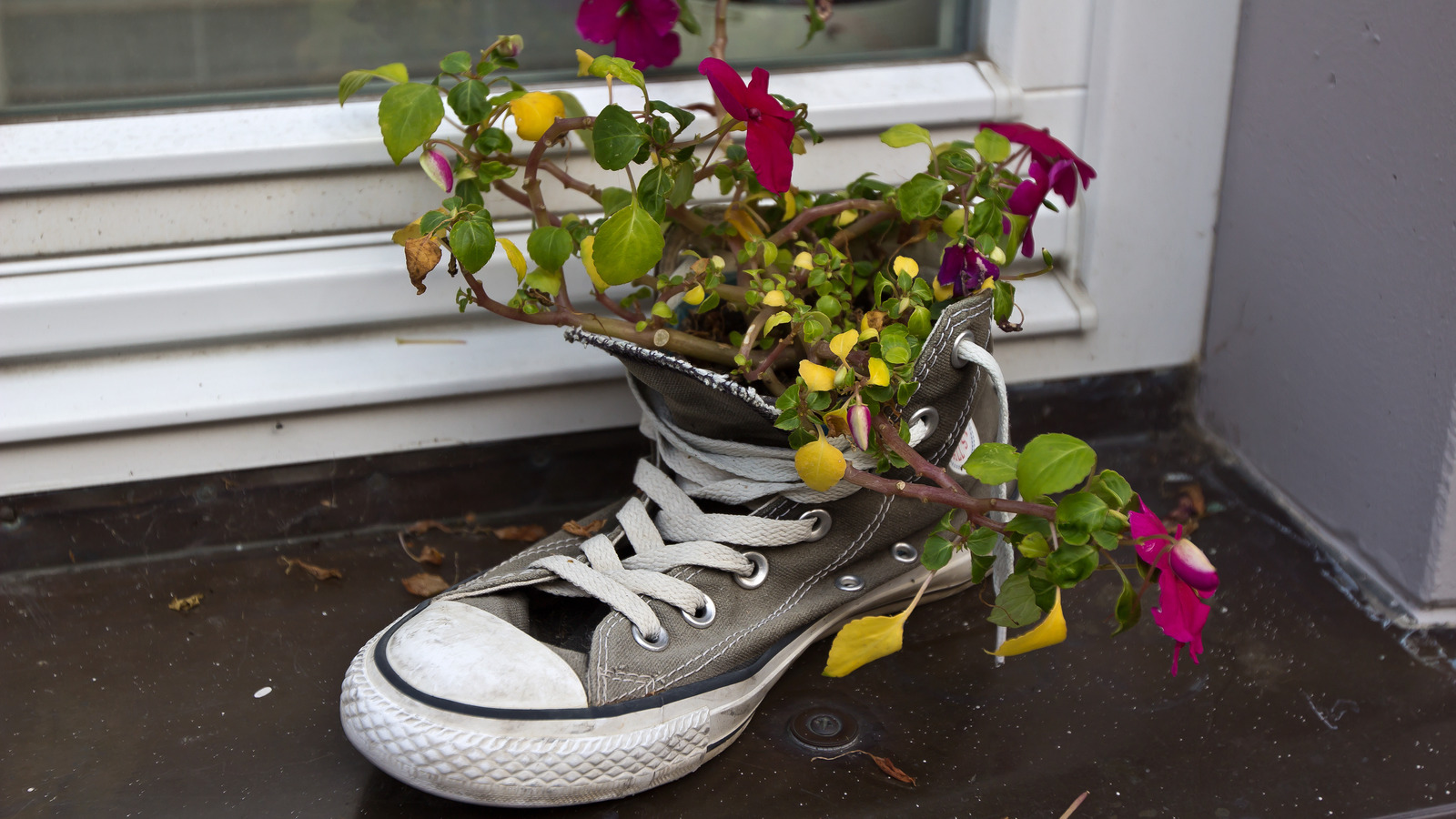 The Simple Shoelace Hack For Making Sure Your Plants Stay Watered