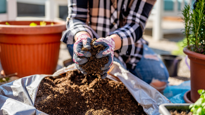 A woman's gloved hands scooping potting soil out of a bag