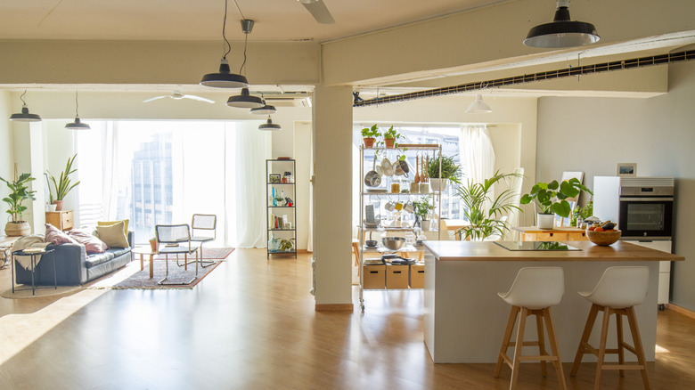 Living room and kitchen in an open floor plan apartment