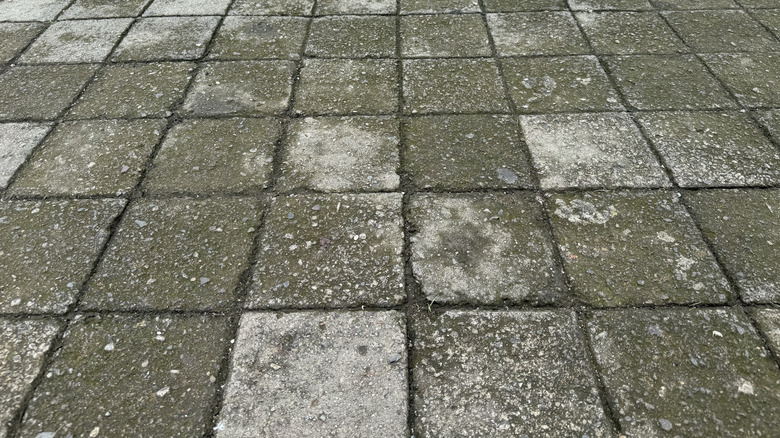 Dirty concrete pavers