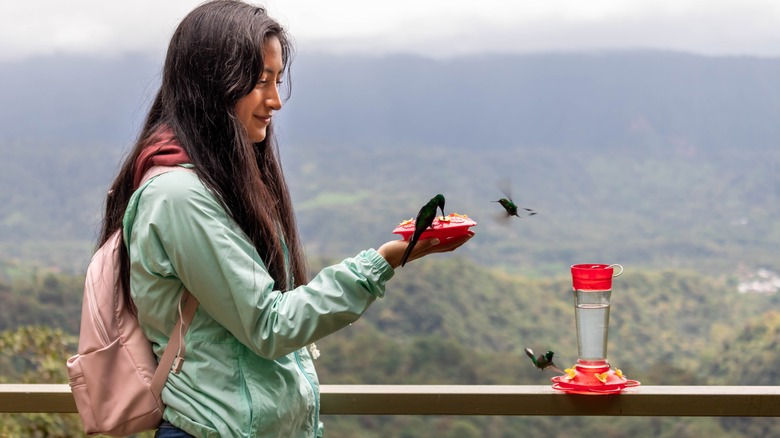 woman feeding hummingbirds on balcony