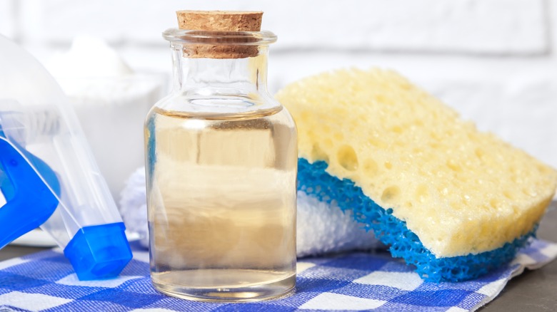 Vinegar and a sponge
