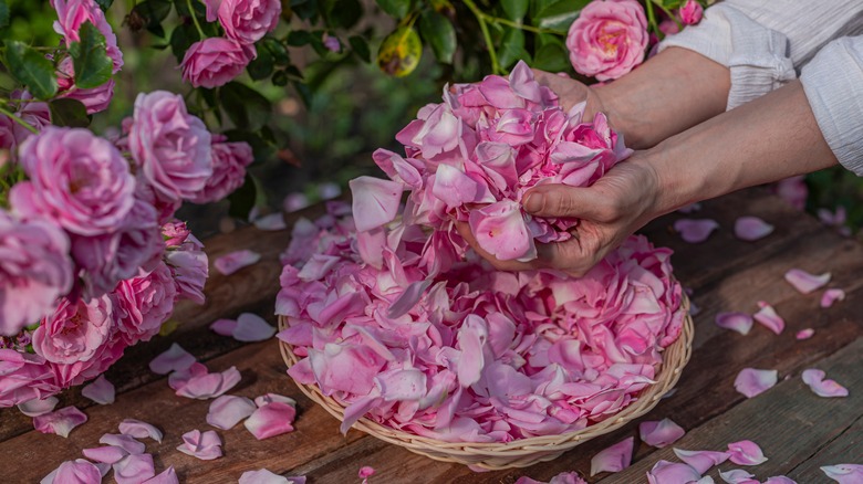 The Simple Way To De-Petal A Rose For Stunning Floral Decor