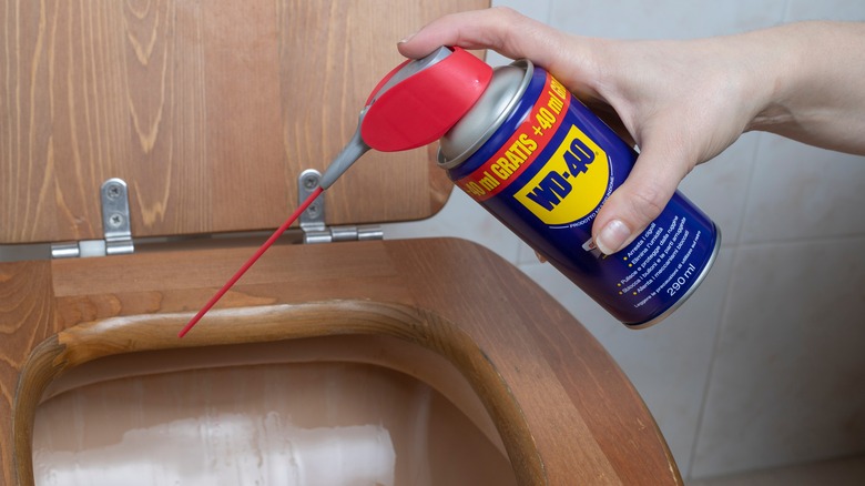 Applying WD-40 to toilet bowl