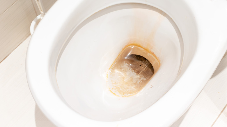 Toilet with stain inside bowl