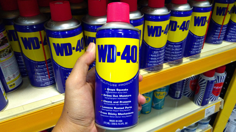 Person holding can of WD-40 