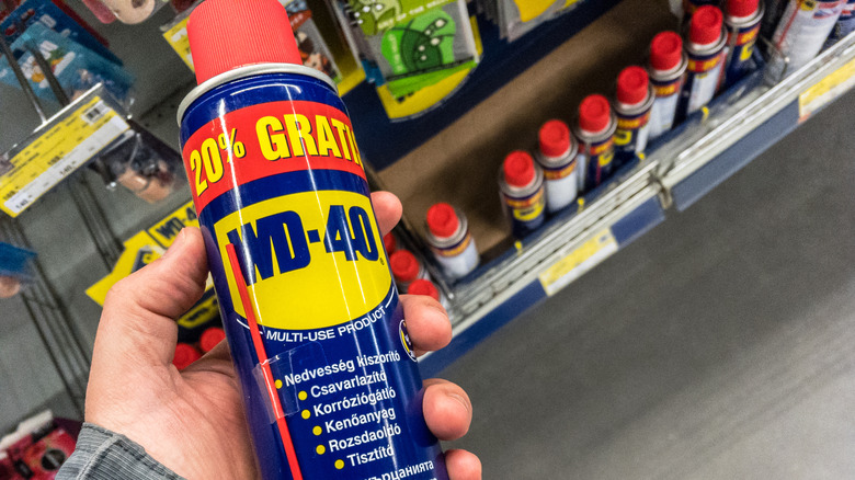 Person holding WD-40 at store