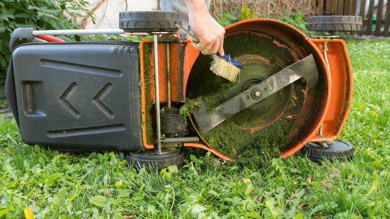 Person's hand cleaning lawn mower with brush
