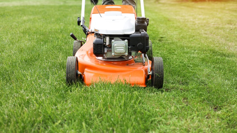 Close up image of lawn mower cutting grass