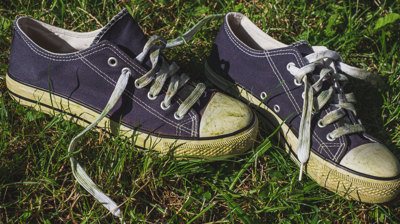 Grass stains on shoes