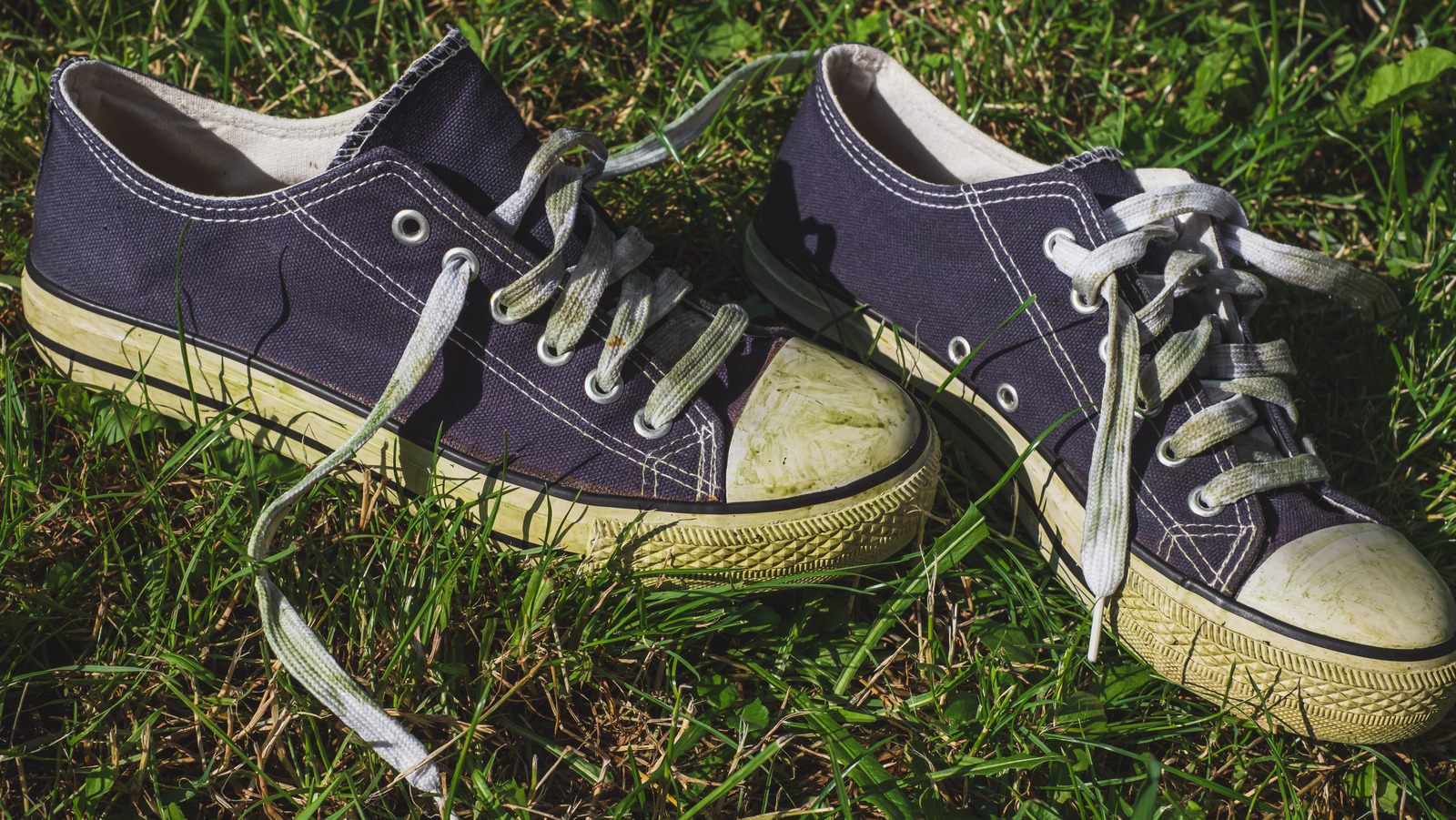 The Simplest Salt Solution Is The Answer To Getting Rid Of Grass Stains