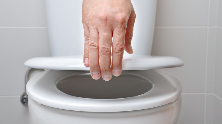 hand holding toilet seat