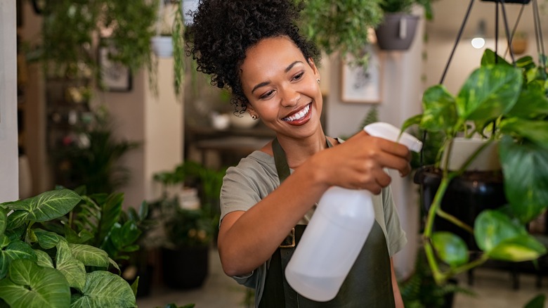 Someone spraying plants