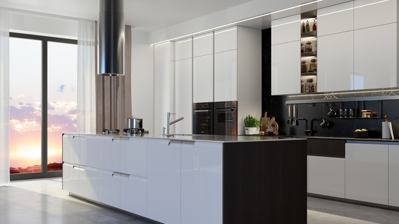 Modern black-and-white kitchen with minimal cabinetry