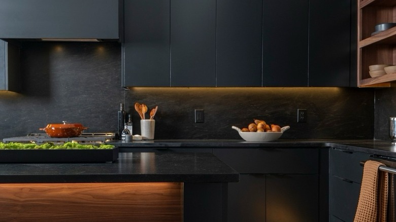Dark kitchen cabinets with lighting
