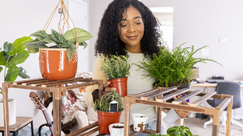 woman standing beside potted plant display