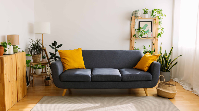Small blue couch in white living room