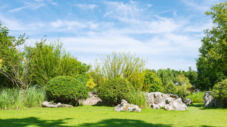 Lawn bordered by small trees, shrubs, and rocks