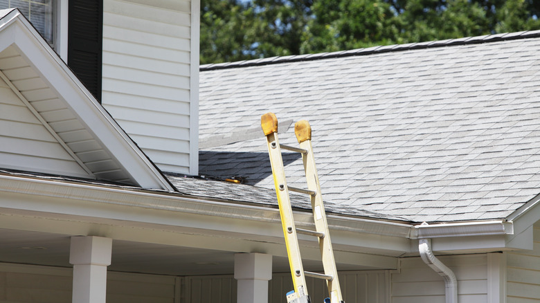 Ladder leaning against white two-story home