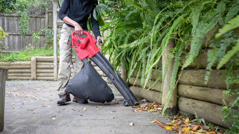 Man using a leaf vacuum to clean up leaf debris