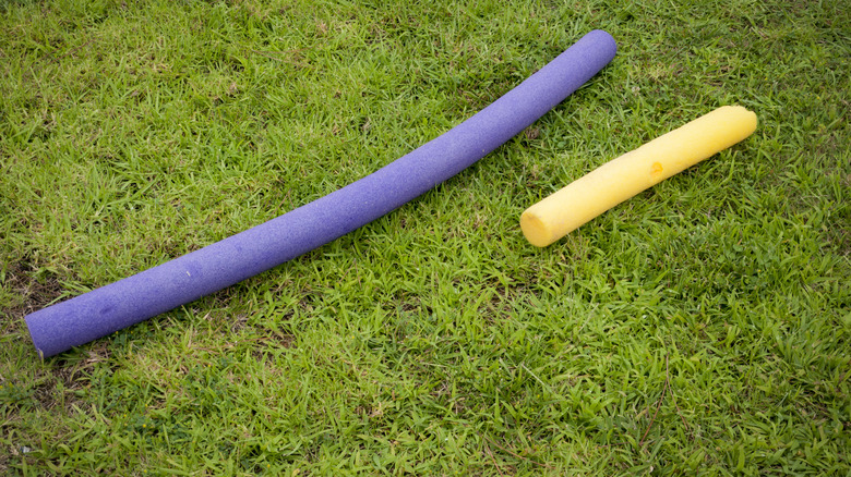 A long purple pool noodle and a short yellow pool noodle laying on green grass.