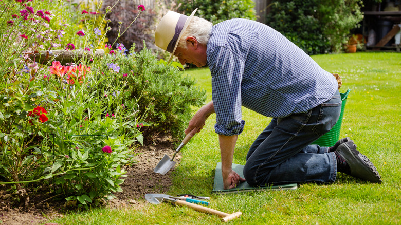 A elderly man wearing a blue plaid shirt , jeans, and a hat digging in a garden with a trowel while kneeling on a pad.