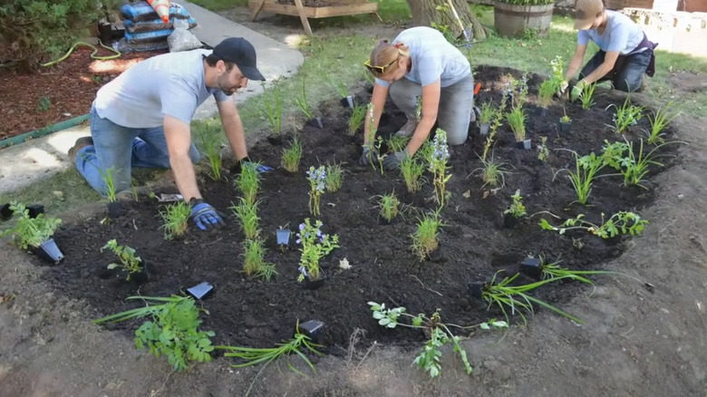 three people planting a rain garden
