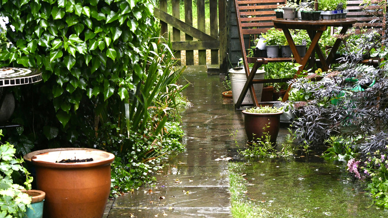 stormwater collecting on a sidewalk and yard