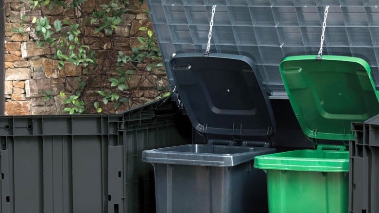 a pair of trash bins in a Keter plastic outdoor shed with hinged roof and doors