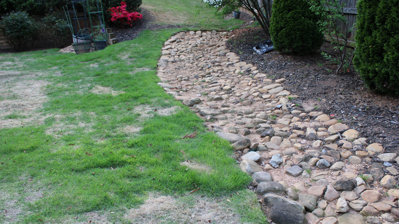 Dry creek bed in a yard