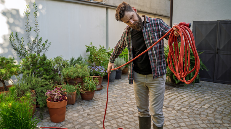 Man winding an orange garden hose after watering plants in containers.