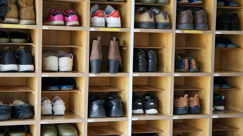 A shelving unit with different footwear in each square shelf