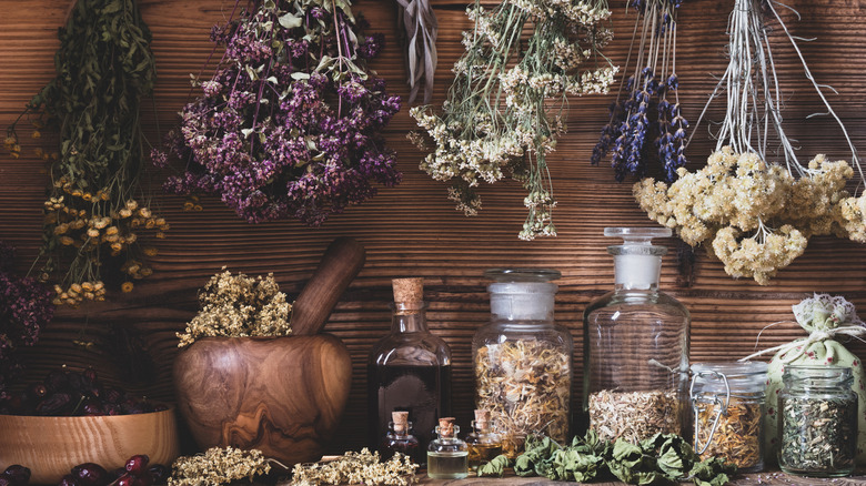 The Smell Of These Common Herbs Can Help Chase Pesky Groundhogs Out Of