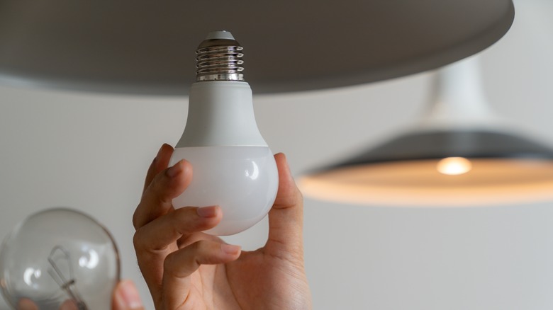 A young woman replacing an incandescent bulb with an LED bulb.