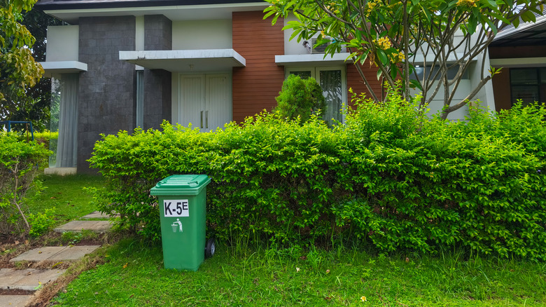 A garbage can is places near a shrub where snakes could be lurking