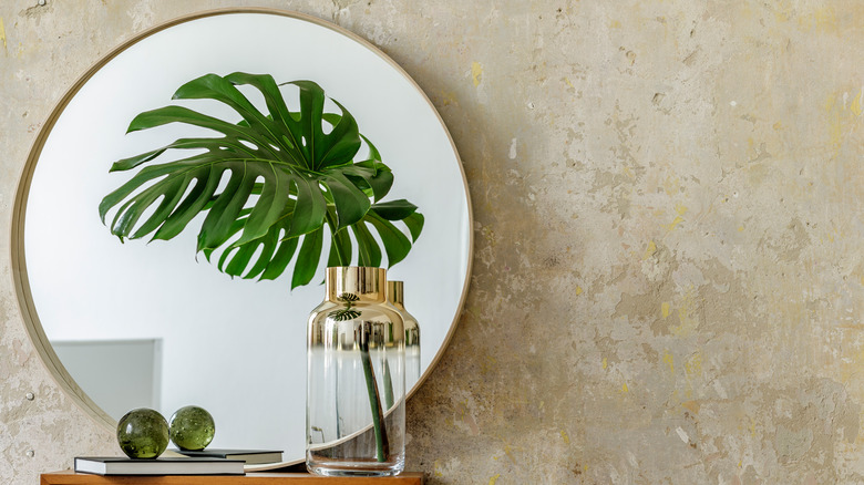 wall mirror with plant