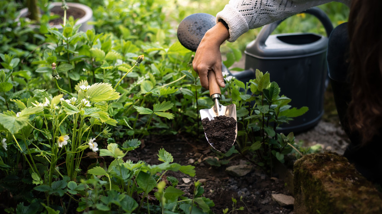 Hand using a small shovel in garden