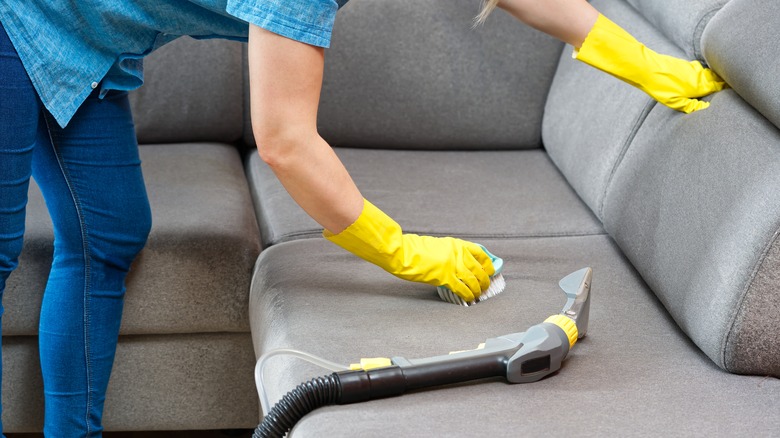 person cleaning sofa