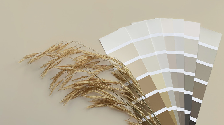 Neutral paint swatches