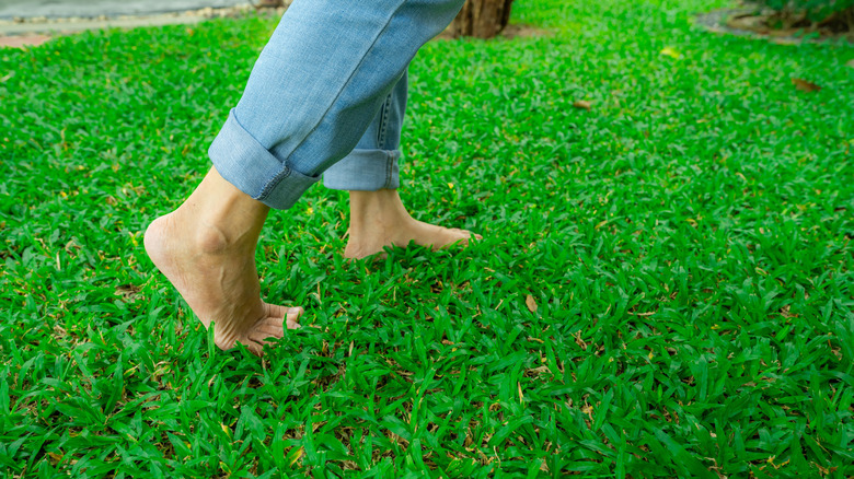 Barefoot person walking on lush green lawn