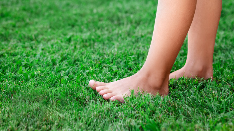Bare feet on lawn