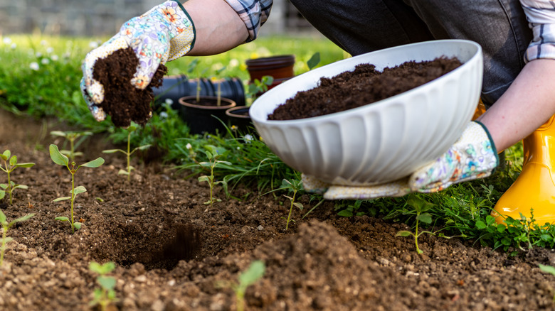 Adding potting soil to garden