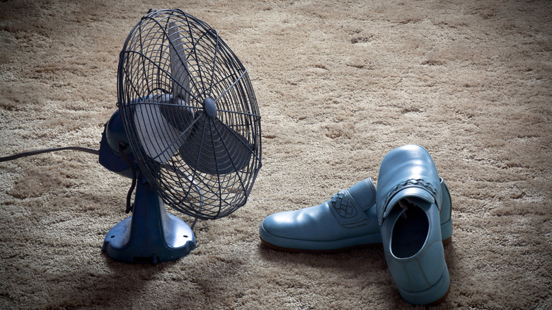 A fan sits next to a pair of shoes.
